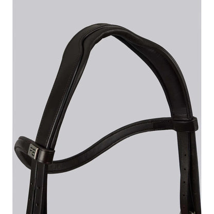 Palazzo Anatomical Bridle (No reins)