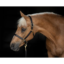 Load image into Gallery viewer, 1&quot; Leather Turnout Halter