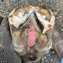 Load image into Gallery viewer, Beeswax Pink Balls