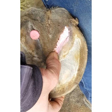 Load image into Gallery viewer, Beeswax Pink Balls