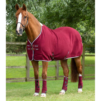 PremTex Horse Cooler Rug