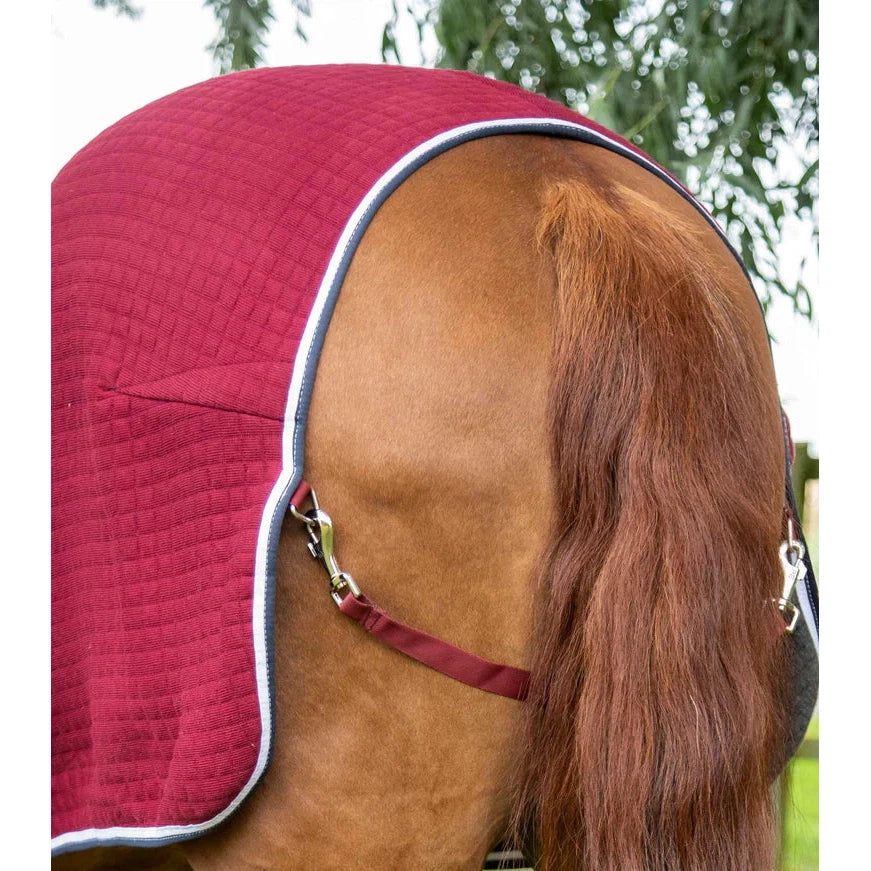 PremTex Horse Cooler Rug