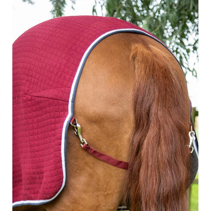 PremTex Horse Cooler Rug