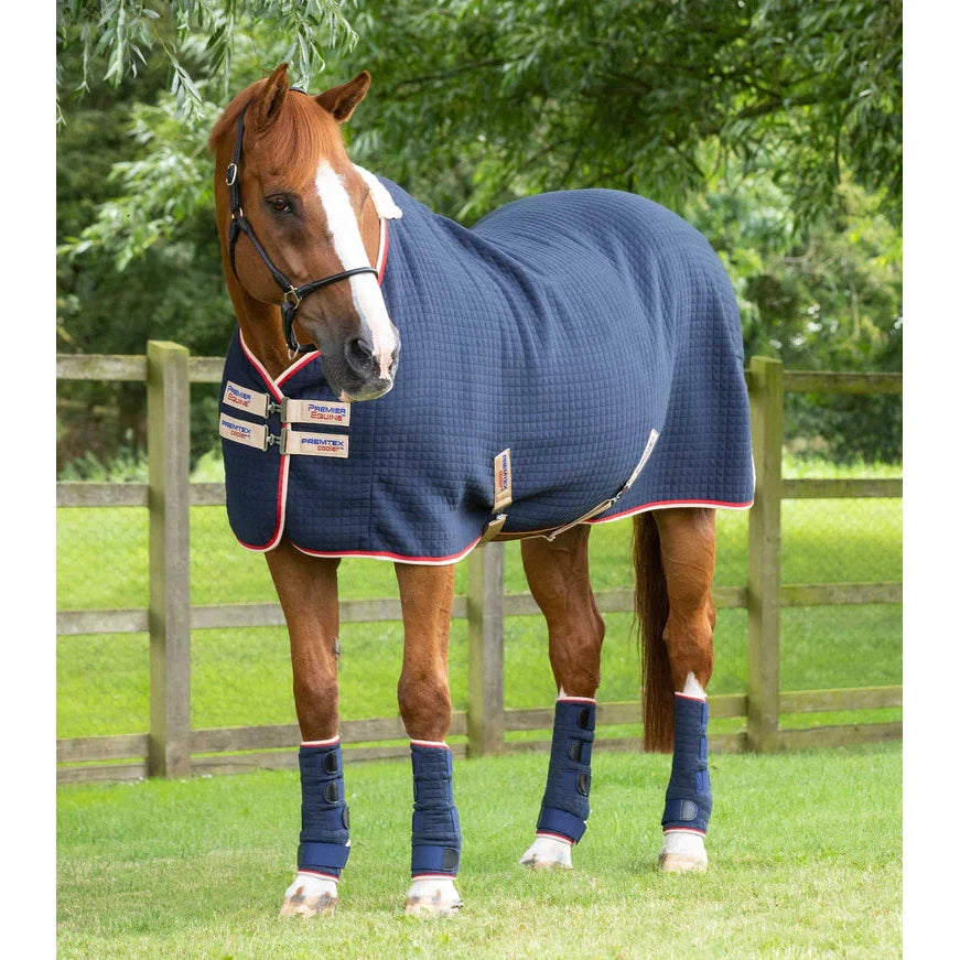 PremTex Horse Cooler Rug
