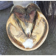 Load image into Gallery viewer, Beeswax Pure Balls