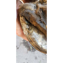 Load image into Gallery viewer, Beeswax Pure Balls