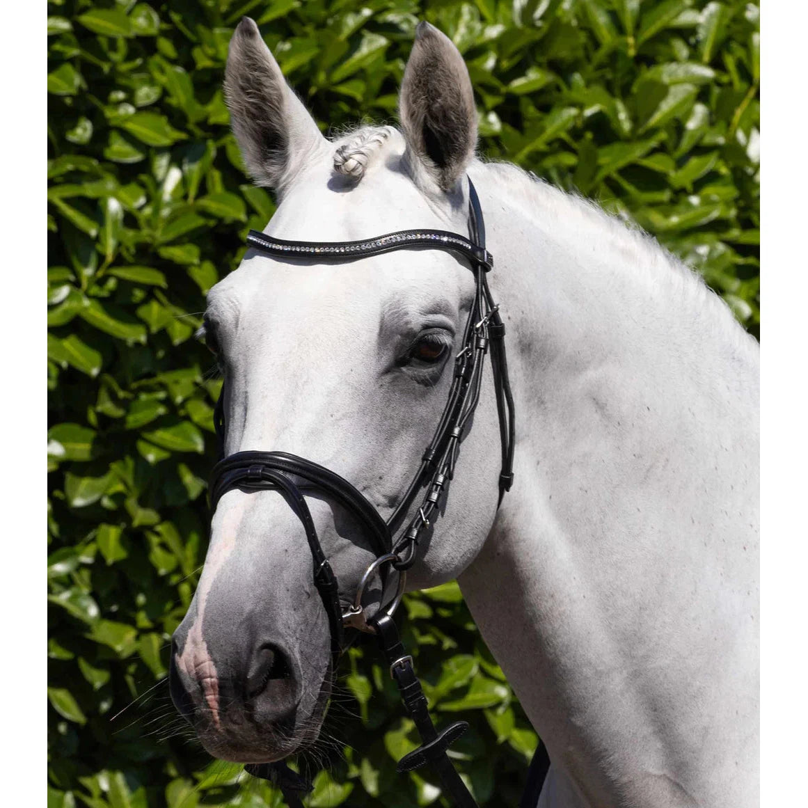 Rivere Snaffle Bridle (No reins)