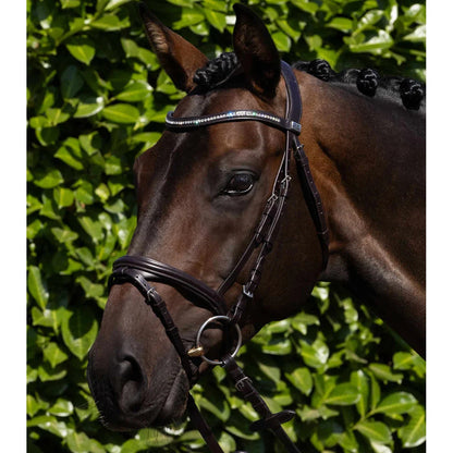 Rivere Snaffle Bridle (No reins)
