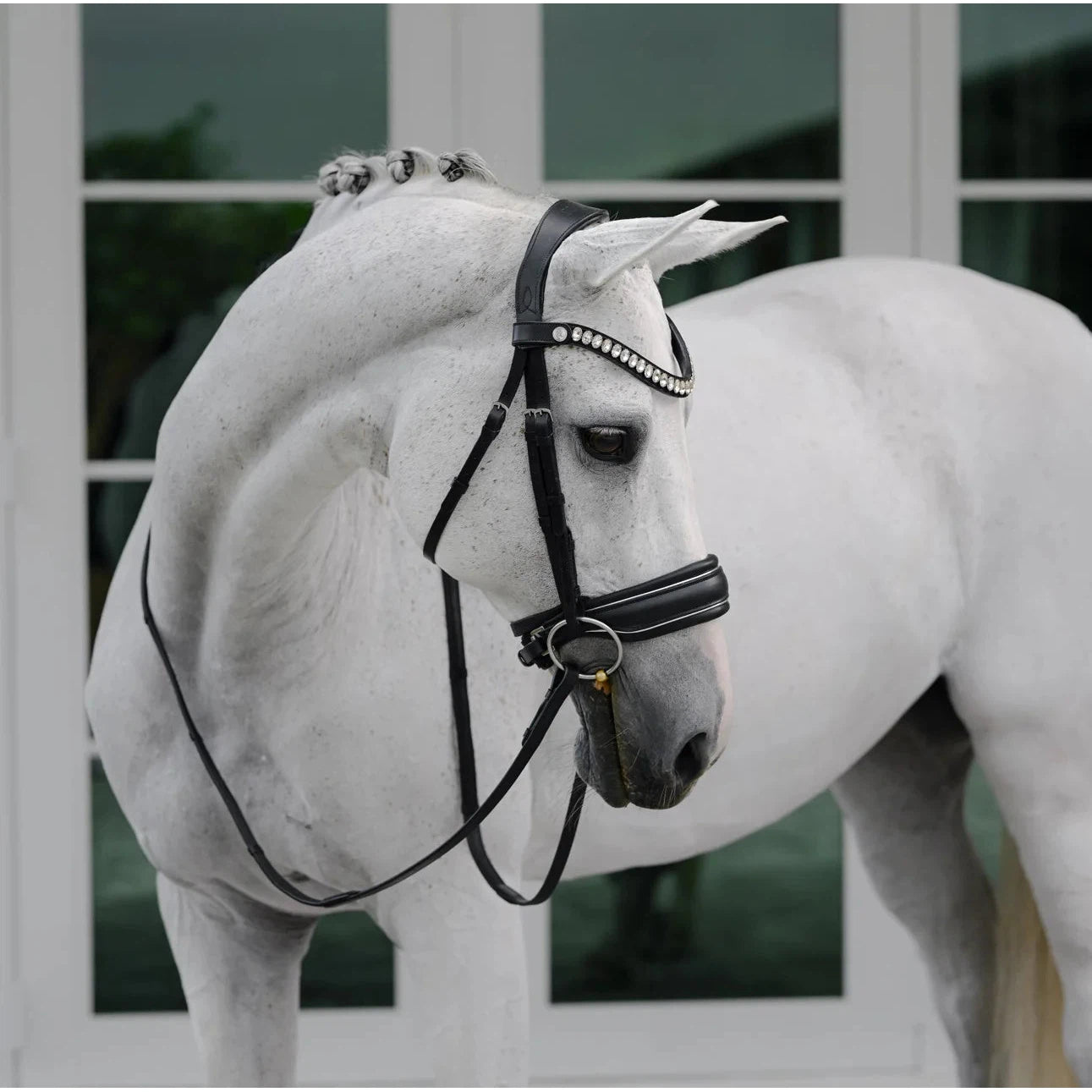 Diva Bridle (Cavesson) (No reins)