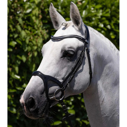 San Paolo Anatomical Bridle (No reins)