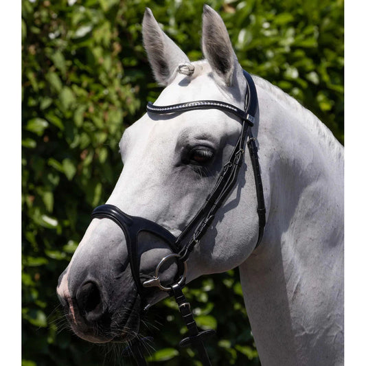 San Paolo Anatomical Bridle (No reins)