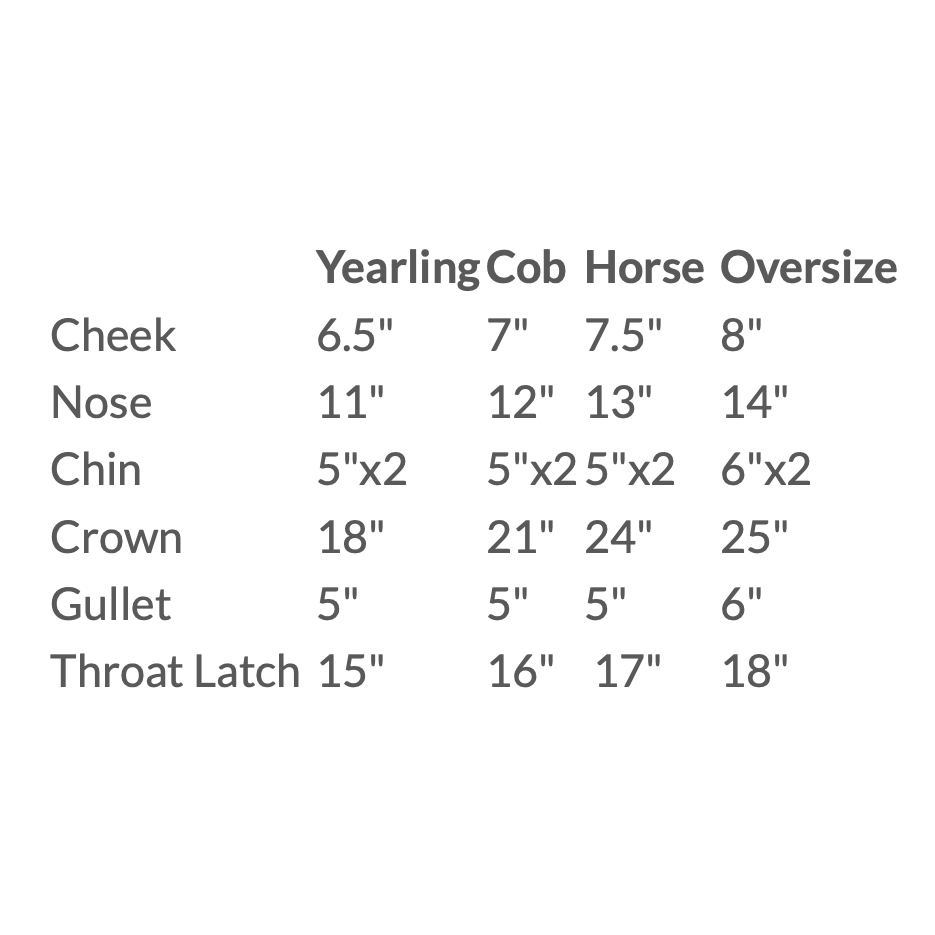 Western Crocodile Embossed Leather Show Halter