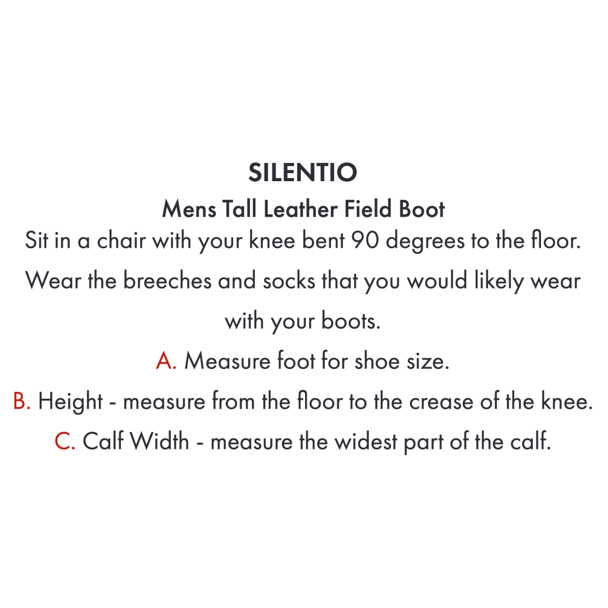 Silentio Men's Tall Leather Field Boot