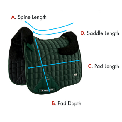 Atlantis Close Contact Satin Wool Dressage Square