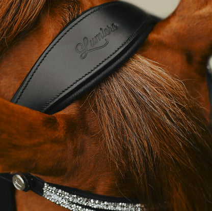 Princess Bridle (No reins)