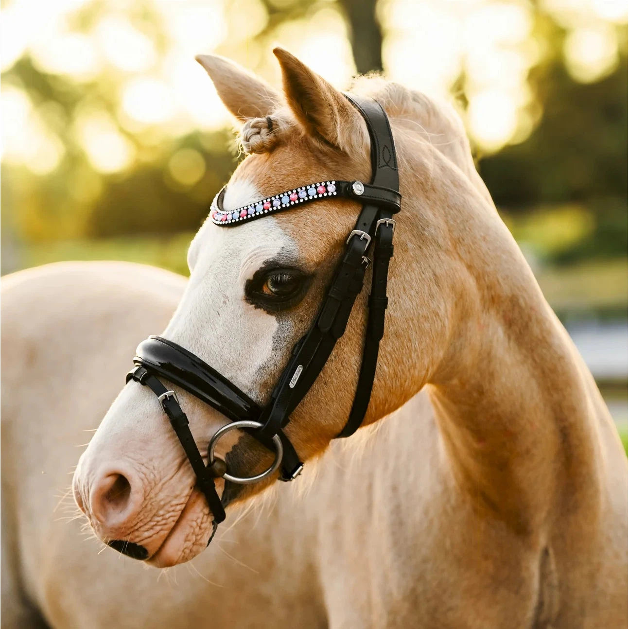 Unicorn Bridle (No reins)