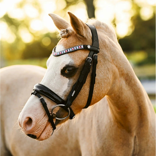 Unicorn Bridle (No reins)