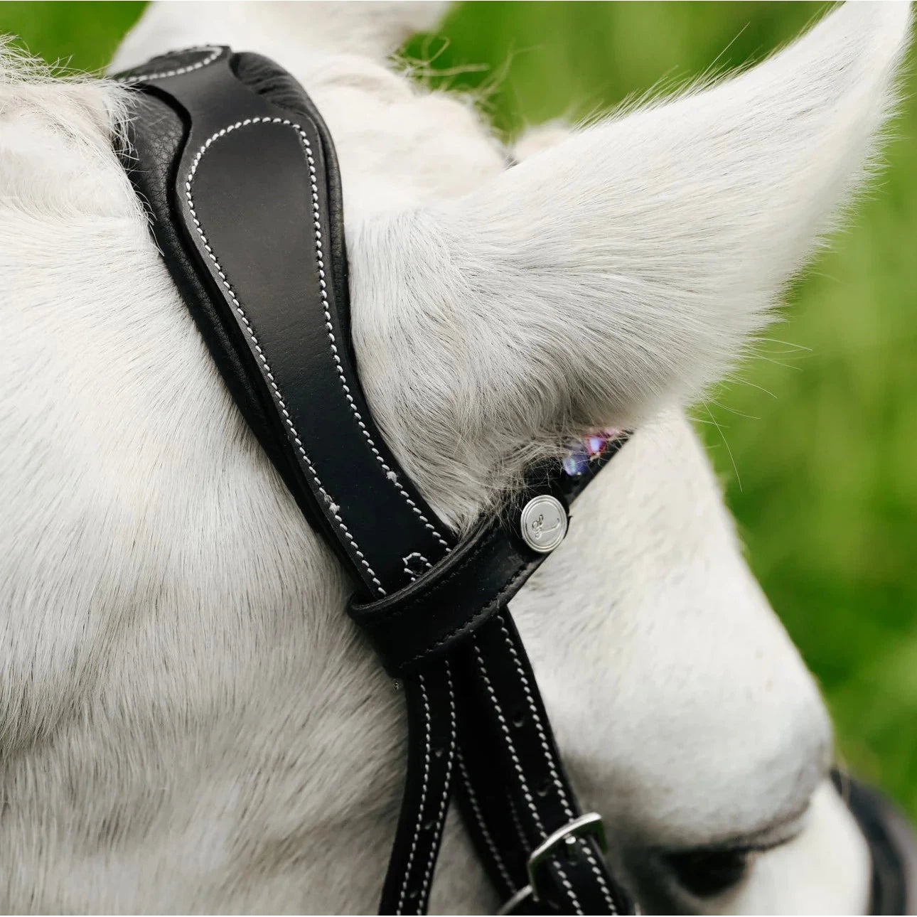Rainbow Bridle (Convertible) (No reins)