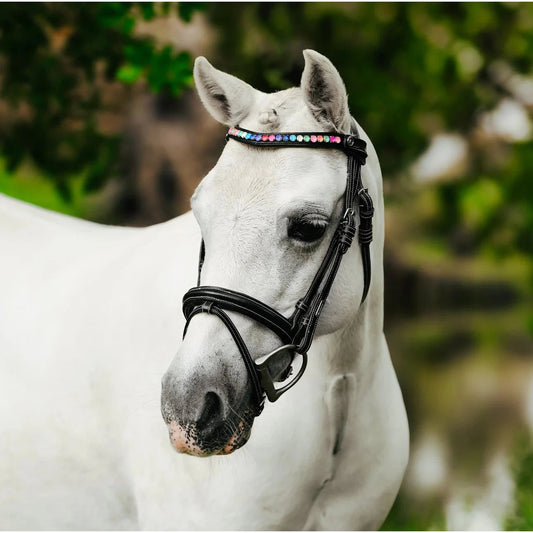 Rainbow Bridle (Convertible) (No reins)