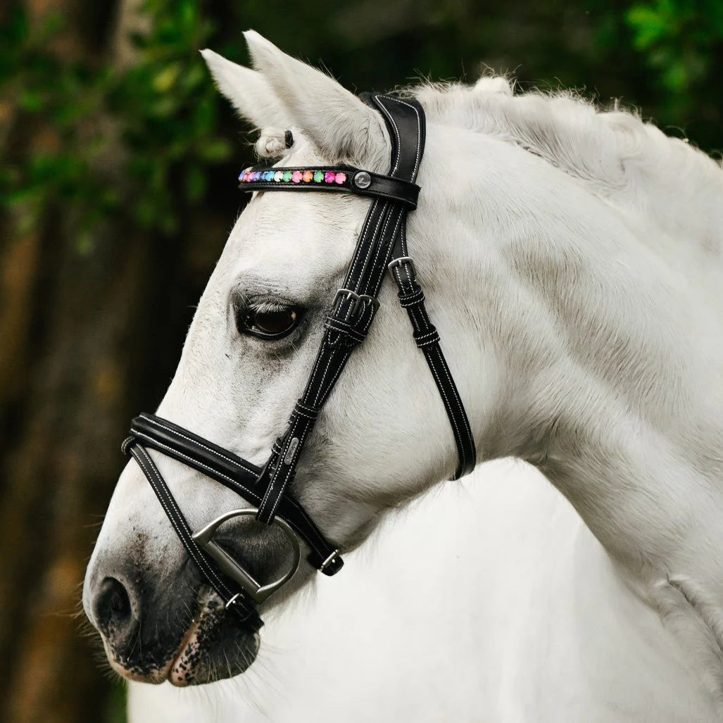 Rainbow Bridle (Convertible) (No reins)