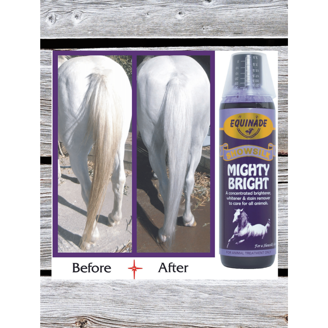 Showsilk Mighty Bright - 500ml