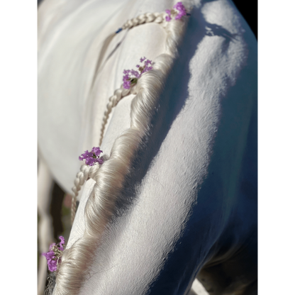 Showsilk Mighty Bright - 500ml