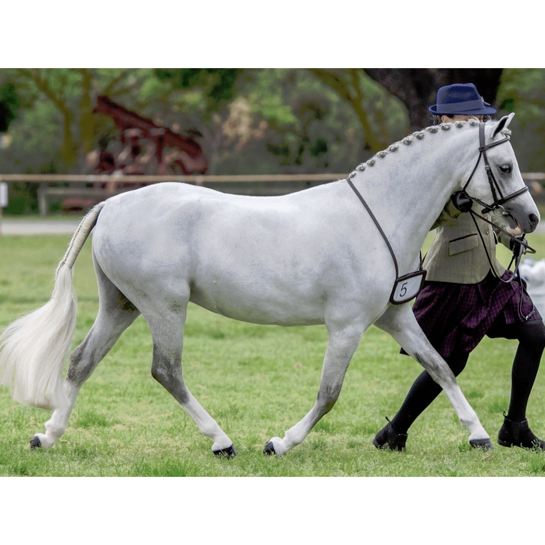 Showsilk Mighty Bright - 500ml