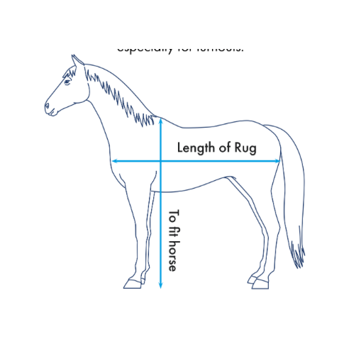 Buster Sweet Itch Fly Rug with Surcingles