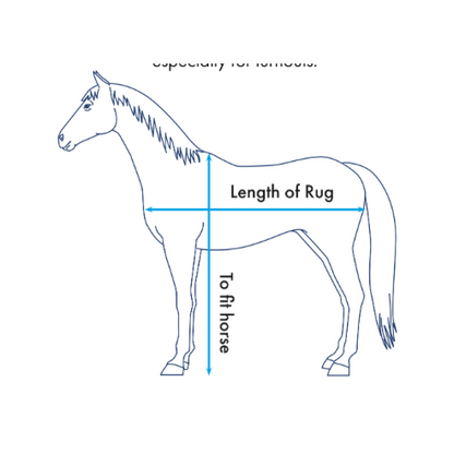 Buster Sweet Itch Fly Rug with Surcingles