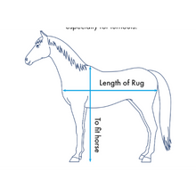 Load image into Gallery viewer, Buster Sweet Itch Fly Rug with Surcingles