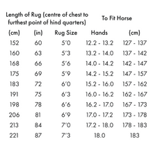 Load image into Gallery viewer, Buster Sweet Itch Fly Rug with Surcingles