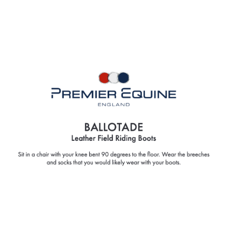 Ballotade Leather Field Tall Riding Boots