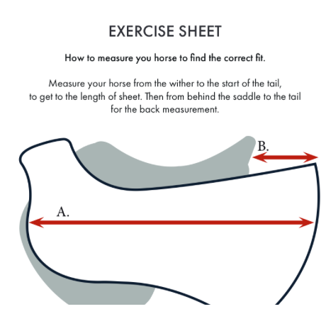 Reflective Exercise Sheet