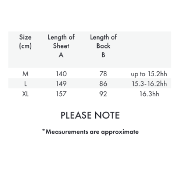Reflective Exercise Sheet