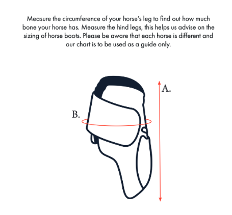 ArmorX Lite Fetlock Boots