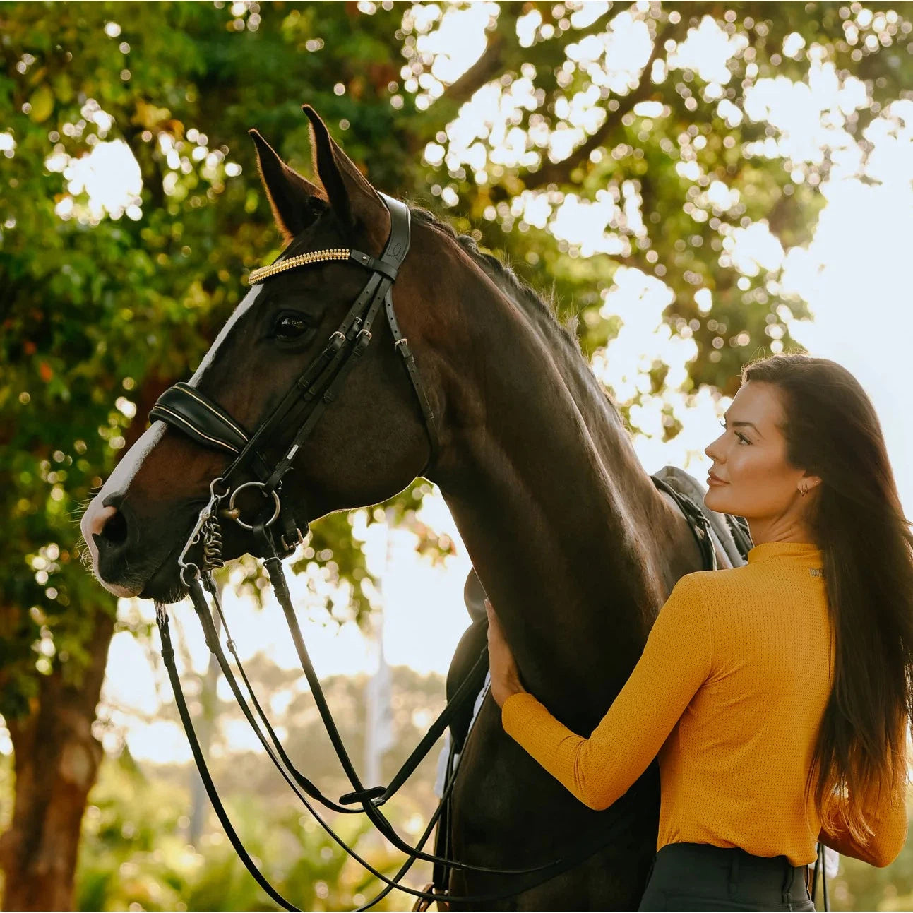 Delta (Double) (No reins)