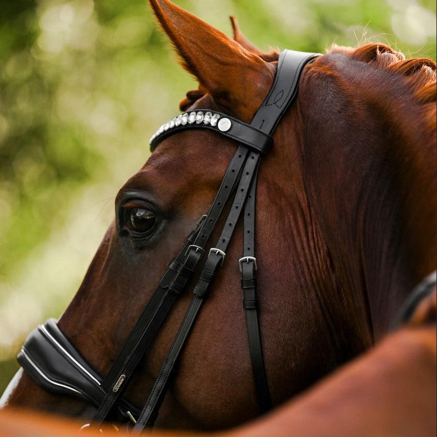 Diva (Double) (No reins)