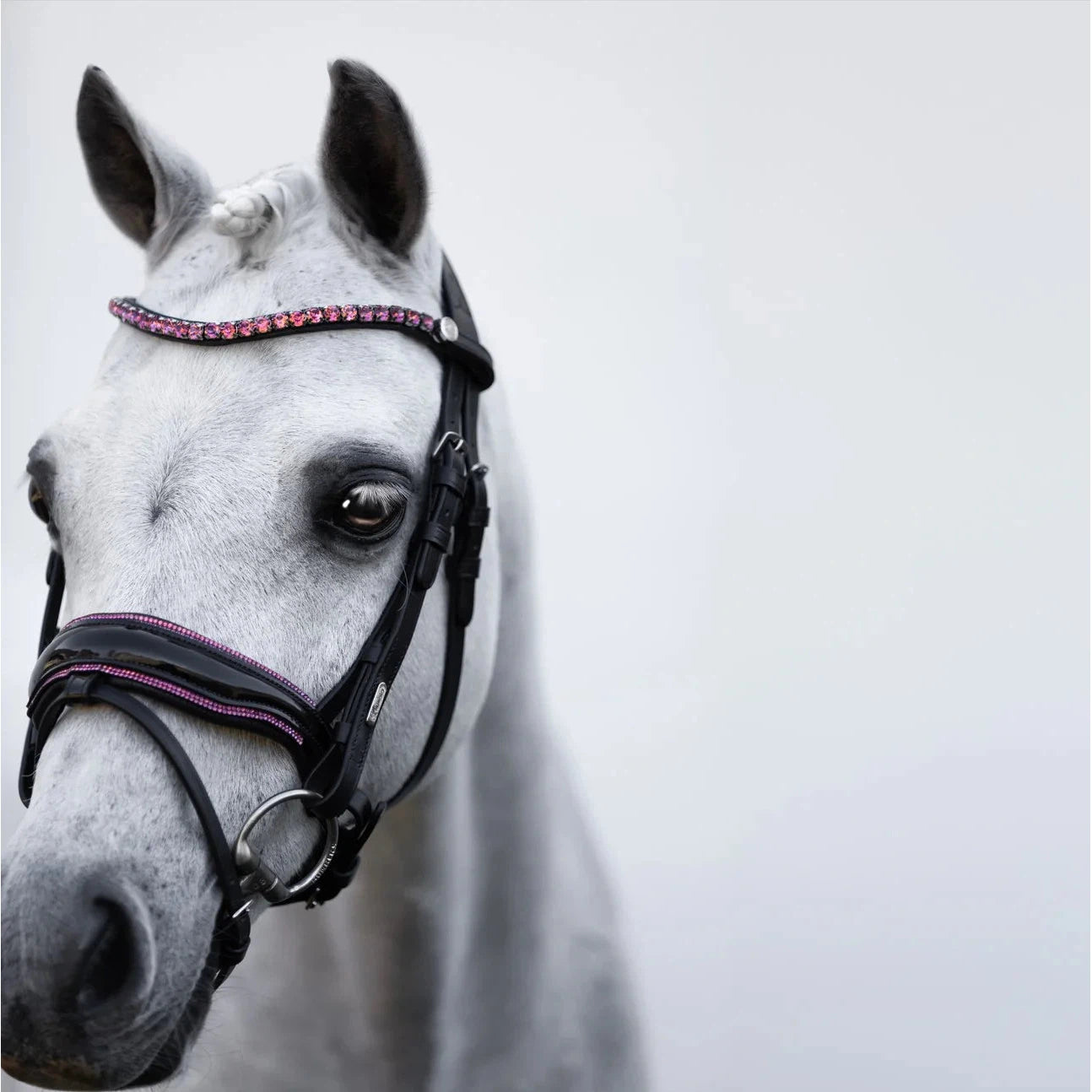 Fairyfloss Bridle (No reins)