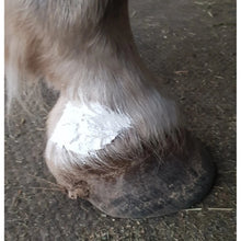 Load image into Gallery viewer, Zinc Putty