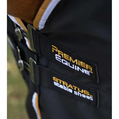 Stratus Horse Stable Sheet