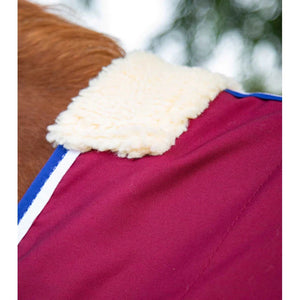 Stratus Horse Stable Sheet