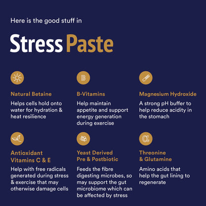 StressPaste - 60ml Tube