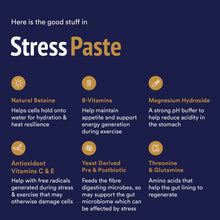 Load image into Gallery viewer, StressPaste - 60ml Tube