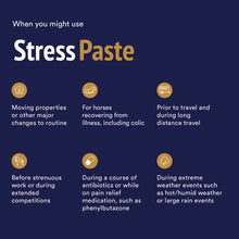 Load image into Gallery viewer, StressPaste - 60ml Tube