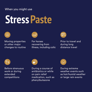 StressPaste - 60ml Tube