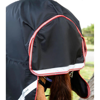 Titan 100g Turnout Rug with Snug-Fit Neck Cover