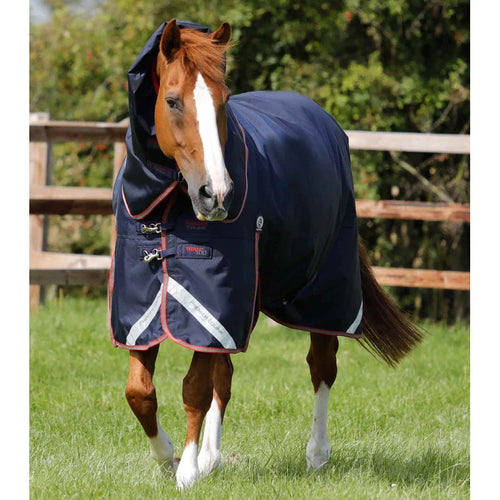 Titan 100g Turnout Rug with Snug-Fit Neck Cover