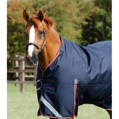 Titan 100g Turnout Rug with Snug-Fit Neck Cover