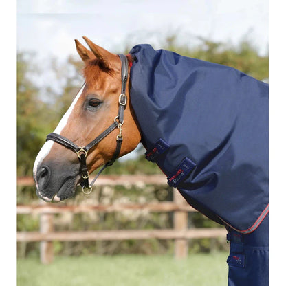 Titan 100g Turnout Rug with Snug-Fit Neck Cover