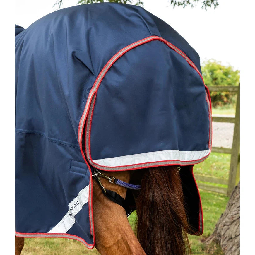 Titan 100g Turnout Rug with Snug-Fit Neck Cover